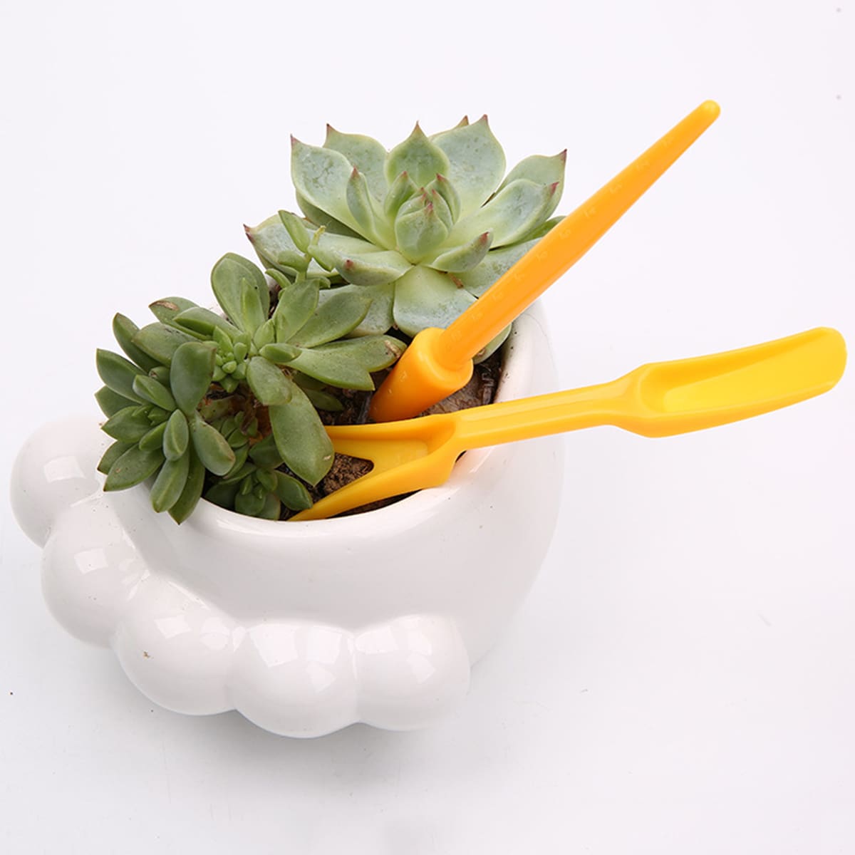 

4pcs Random Succulent Planting Tool, Multicolor