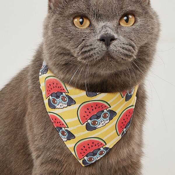 

Cartoon Dog Print Pet Bandana, Multicolor