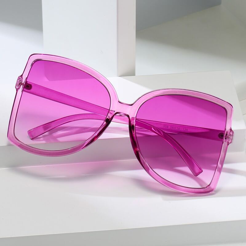 

Tinted Lens Oversized Sunglasses