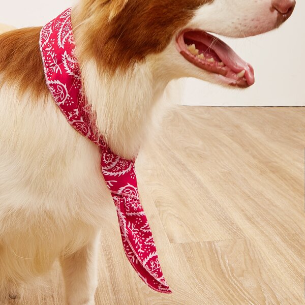 

Plants Print Pet Scarf, Red and white
