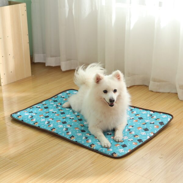 

Cartoon Graphic Pet Crate Mat, Multicolor