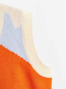 Color Block Sweater Vest - Multicolor - View 3