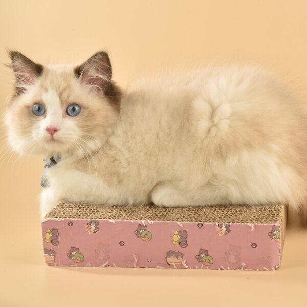 

Cartoon Graphic Cat Scratcher Pad, Pink