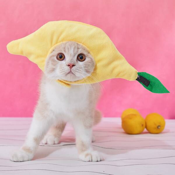

Lemon Shaped Pet Headwear, Yellow