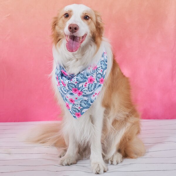 

Flower Print Pet Bandana, Multicolor