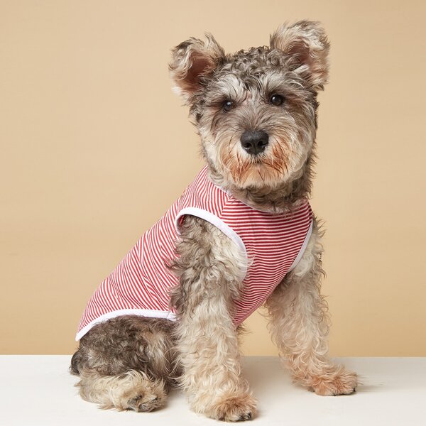 

Striped Pattern Pet Tank, Red and white