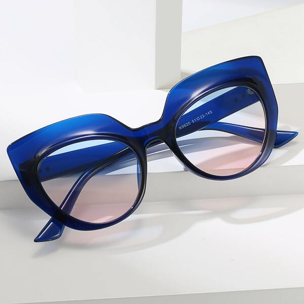 

Tinted Lens Sunglasses