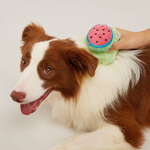

Watermelon Design Pet Foaming Ball, Multicolor