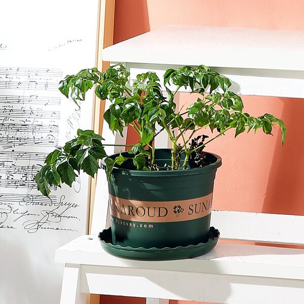 

1pc Plant Pot With Tray, Green