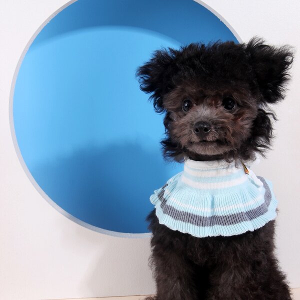 

Striped Pattern Knitted Pet Bandana, Baby blue