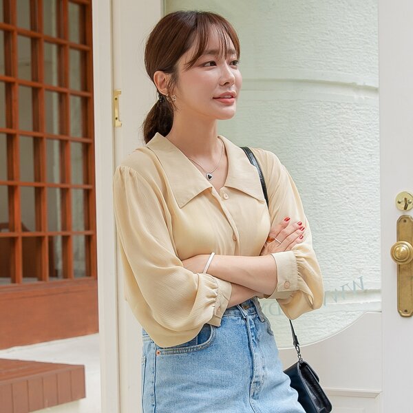 

Solid Button Up Blouse, Apricot