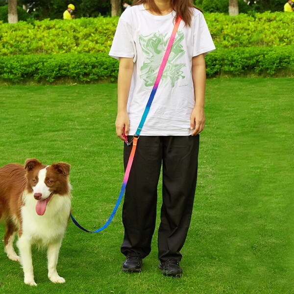 

1pc Colorful Pet Leash, Multicolor