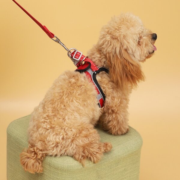 

1pc Plain Pet Harness & 1pc Leash, Red