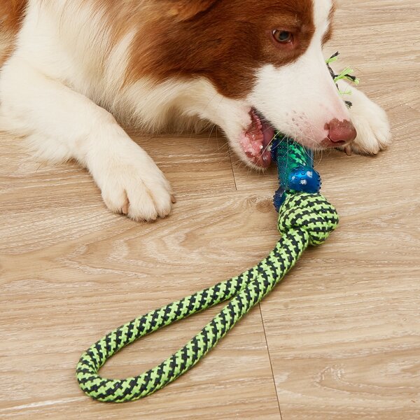 

1pc Braided Rope Pet Chew Toy, Green