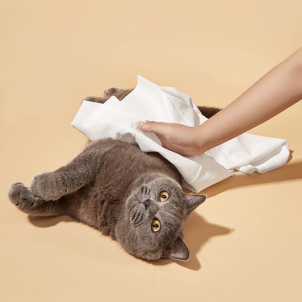 

2pcs Disposable Pet Bath Towel, White