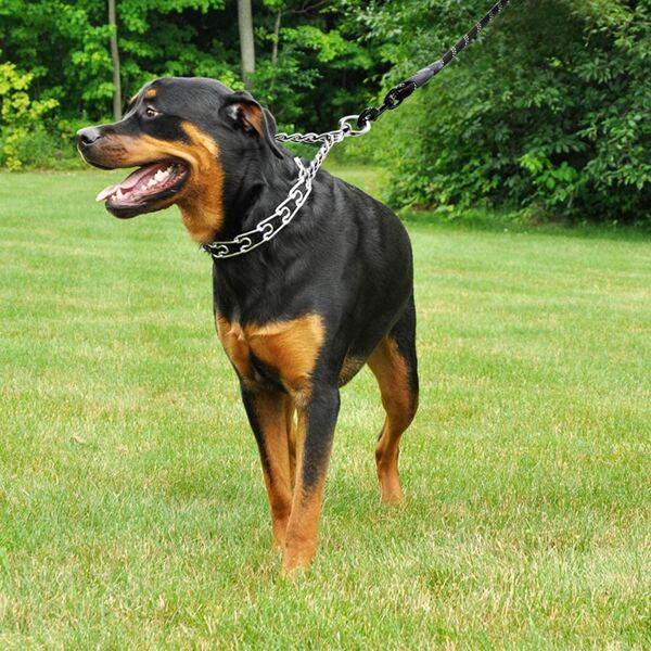 

1pc Removable Pet Collar, Silver