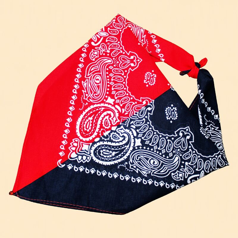 

Paisley Pattern Scarf, Multicolor