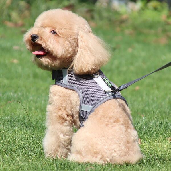 

1pc Breathable Pet Harness & 1pc Leash, Multicolor