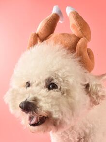 Chicken Leg Detail Pet Headwear - Brown - View 5
