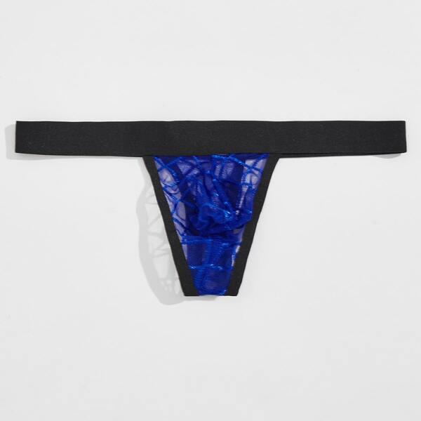 

Men Sheer Mesh Brief, Multicolor