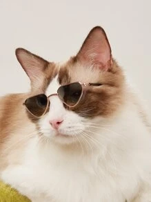 1pair Heart Frame Pet Glasses - Dark Green - View 1