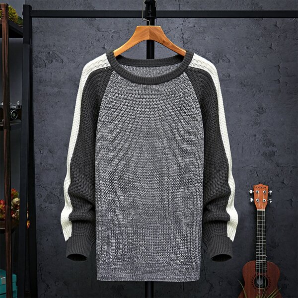 

Men Color Block Raglan Sleeve Sweater, Multicolor