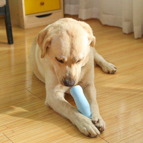 

Soda Bottle Shaped Pet Chew Toy, Blue