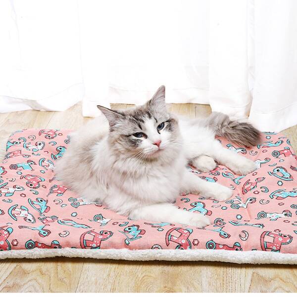 

1pc Cartoon Graphic Pet Bed, Multicolor