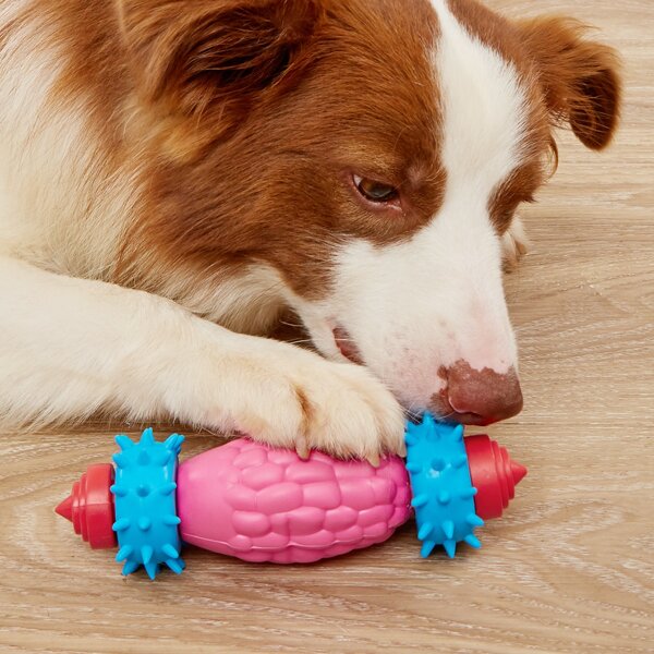 

1pc Pet Chew Toy, Multicolor
