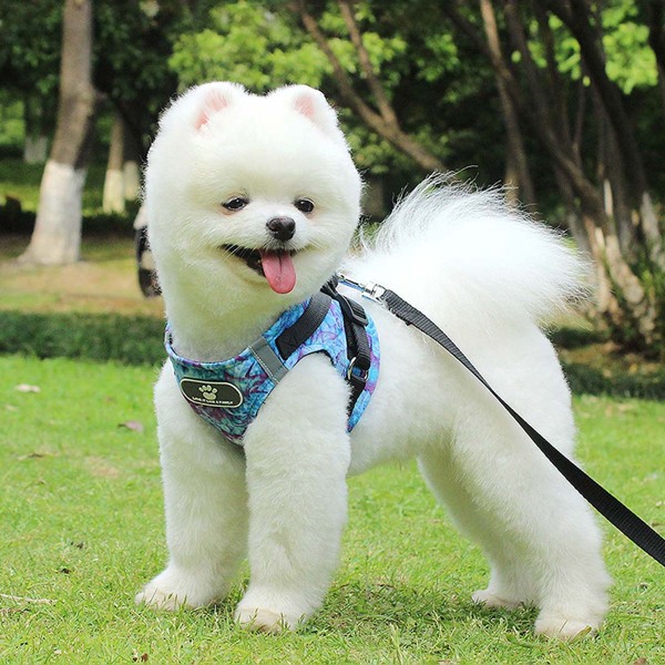 

1pc Breathable Pet Harness Without Leash, Blue