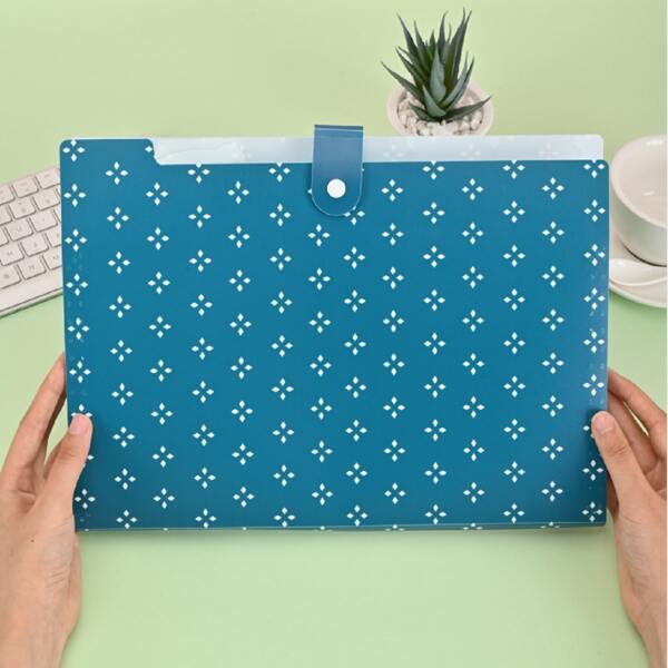 

1pc A4 File Pocket, Blue