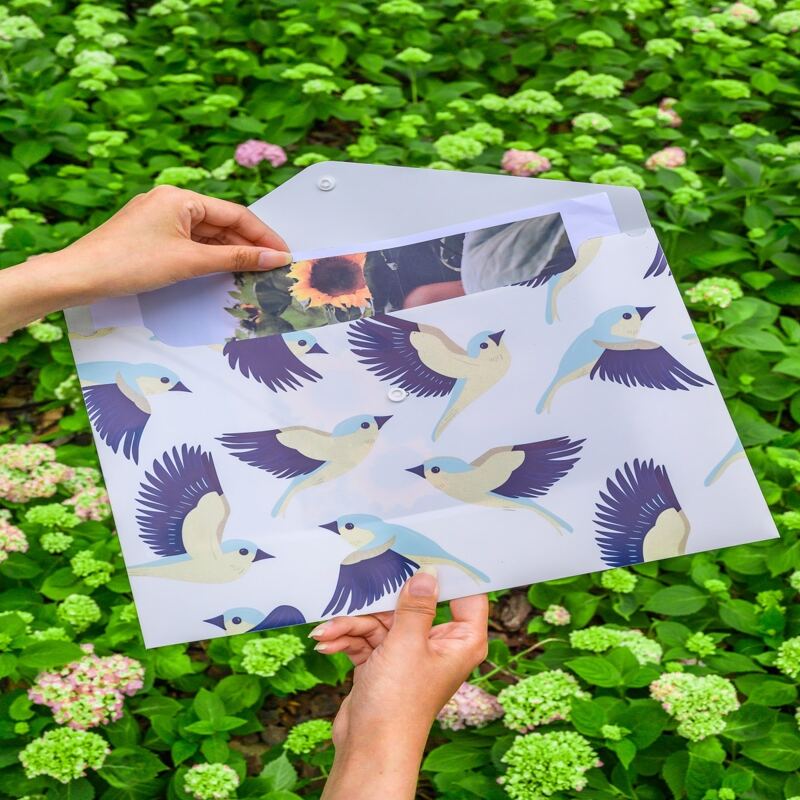

Bird Print File Pocket, Multicolor