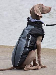 Cazadora con estampado de slogan de mascota - Negro - Ver 2