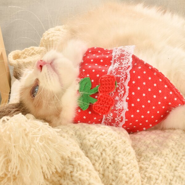 

Cherry Decor Pet Bandana, Red