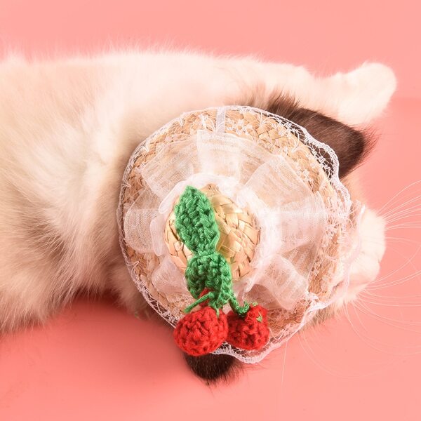 

Cherry Decor Pet Straw Hat, Multicolor