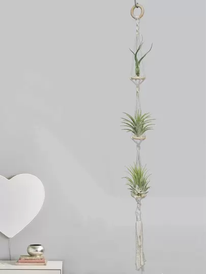 1 件手工编织芦苇空气植物吊架、家居装饰、房间装饰、墙壁装饰