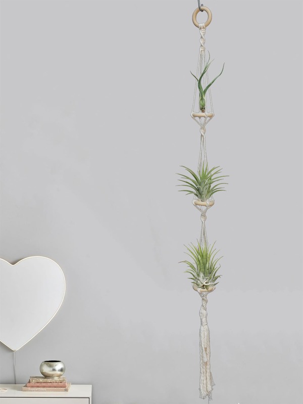 1pc Handmade Braided Reed Air Plant Hanger,Home Decor ,Room Decor,Wall Decor Gifts Birthday Graduation