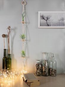 1pc Handmade Braided Reed Air Plant Hanger,Home Decor ,Room Decor,Wall Decor Gifts Birthday Graduation