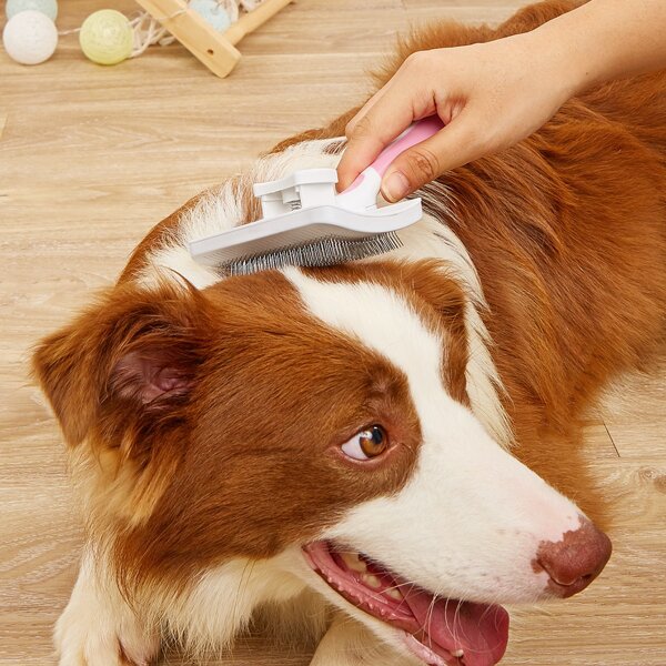 

1pc Color Block Pet Hair Comb, Pink