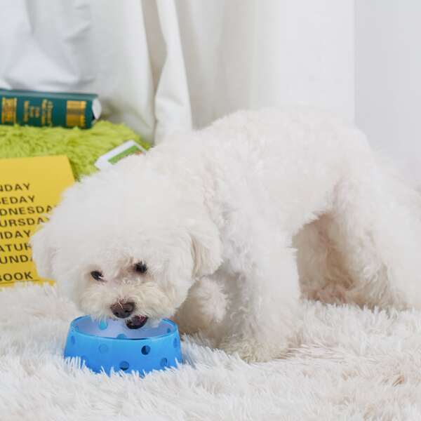 

1pc Round Pet Bowl, Blue