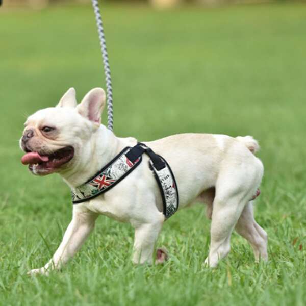 

1pc Flag Print Pet Harness & 1pc Leash, White