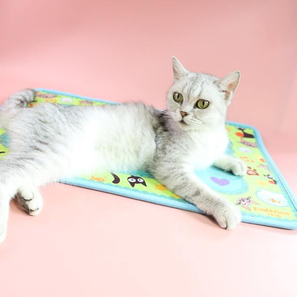 

Cartoon Graphic Pet Mat, Multicolor