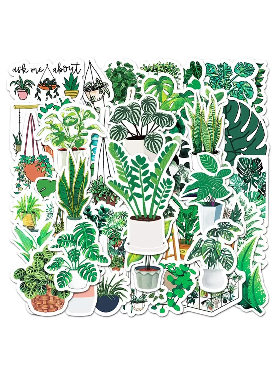 50入組植物印花貼紙 - 彩色 - 查看 1