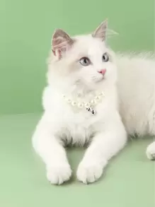 Faux Pearl Decor Pet Necklace - White - View 1