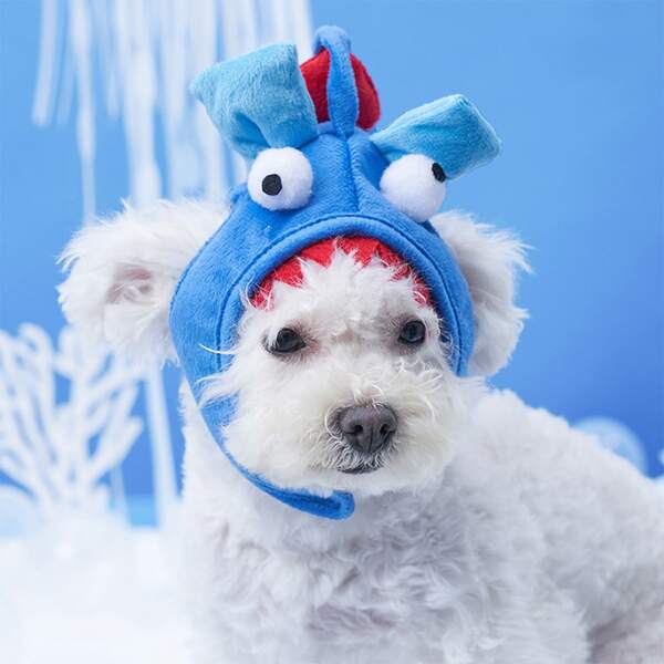 

Cartoon Shark Design Pet Headwear, Blue
