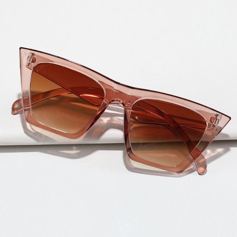 

Clear Frame Sunglasses