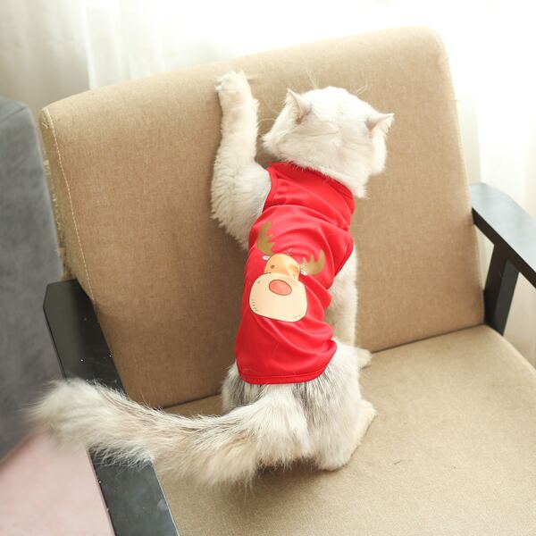 

Cartoon Graphic Pet Tank Top, Red