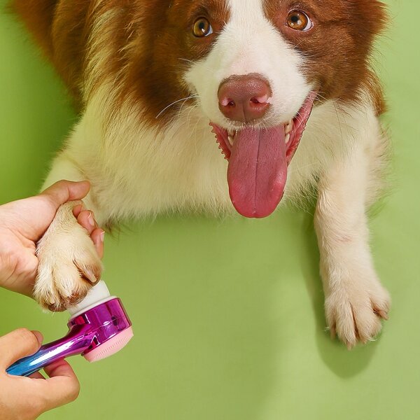 

1pc Random Color Pet Foot Brush, Multicolor