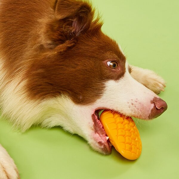 

1pc Pet Chew Mango, Yellow