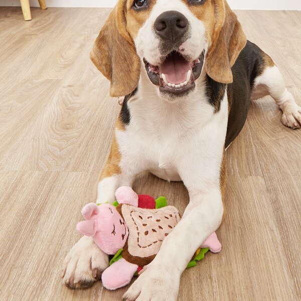 

Rabbit Shaped Pet Sound Toy, Multicolor